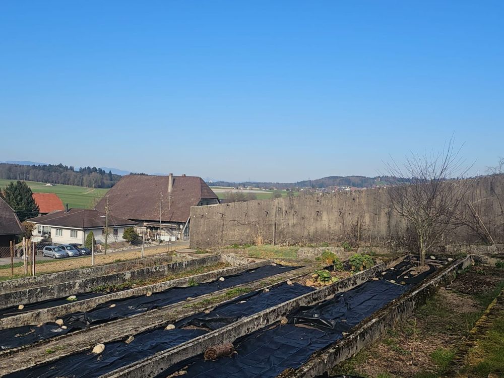 Wohntraum an ruhiger Lage | vier freistehende EFH - Bild 6