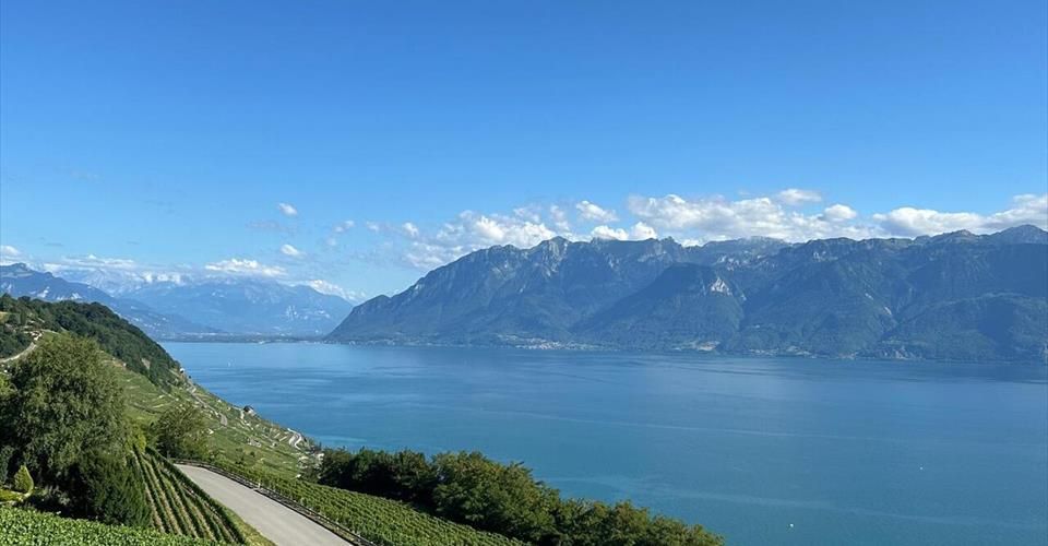 Exceptionnelle villa individuelle, vue plongeante sur le lac ! - Maison 6.5 pièces - image - 1