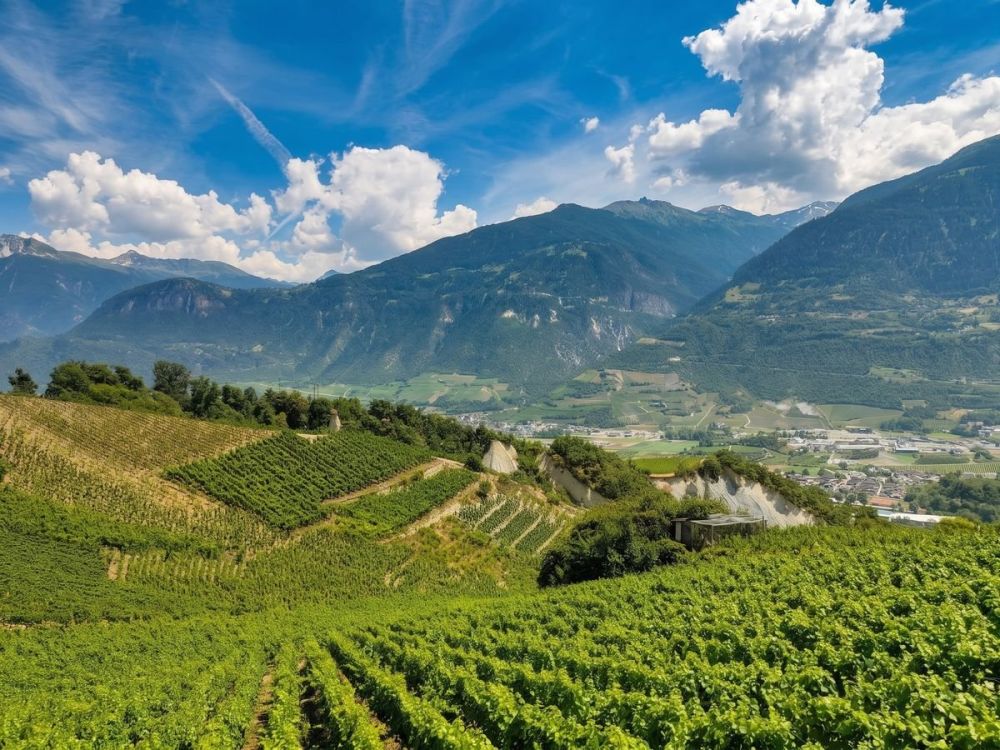 Superbe Villa de 5,5 pièces avec vue imprenable à Lens (VS). -  Bild 2