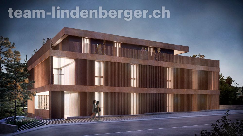 Letzte Wohnung! 4½ Zi.-Neubau-Attikawohnung in Binningen - Ansicht bei Nacht