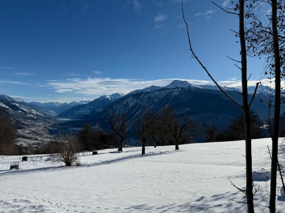 Promotion Tsampé - Bild 5