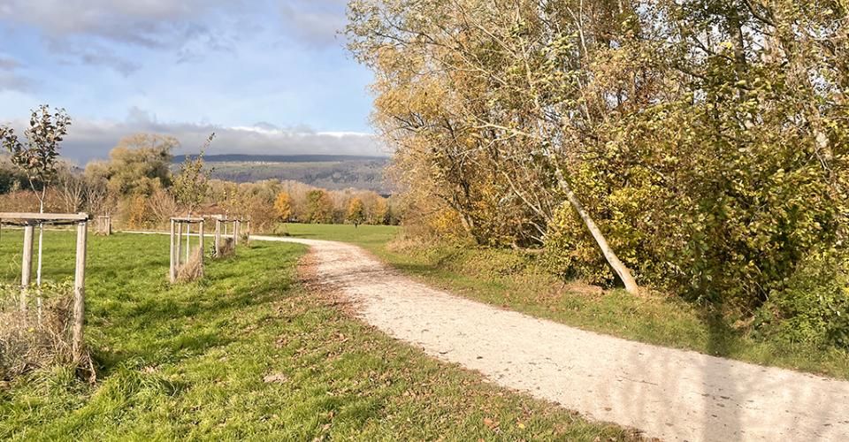 SE RÉVEILLER À QUELQUES MÈTRES DE L"EAU - OUVRIR LA BAIE VITRÉE ET SENTIR L"AIR DU LAC - Appartement 3.5 pièces - image - 2