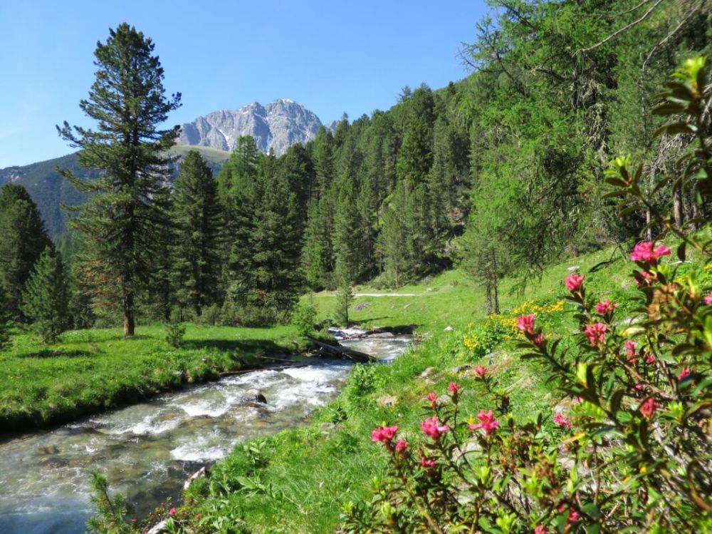 NEUBAU: Alpines Wohnen im Engadin - so, wie Sie es sich vorstellen -  Bild 9