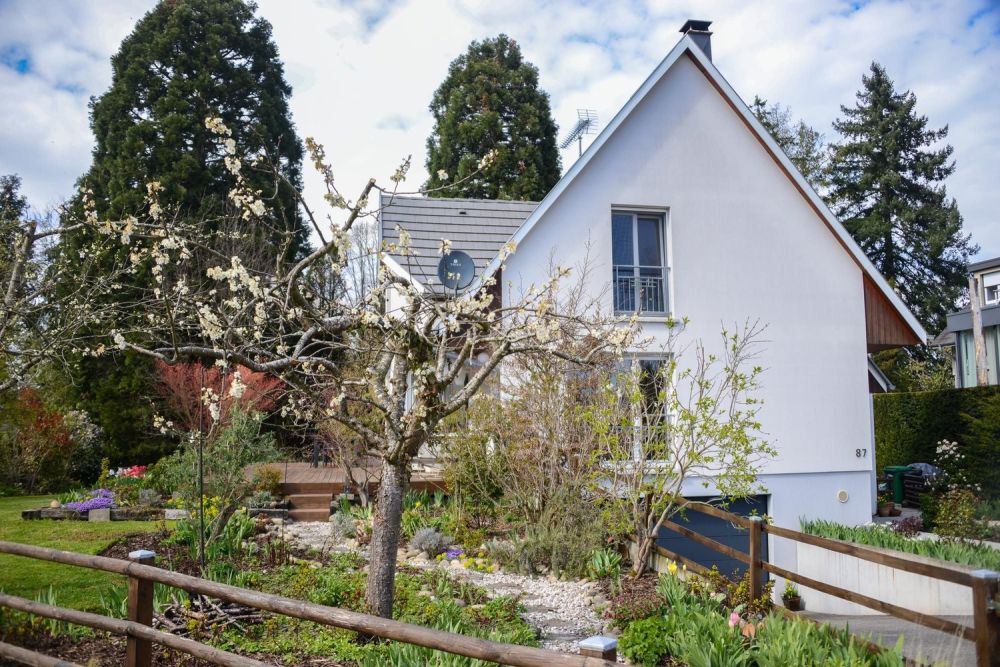 EXKLUSIVES EINFAMILIENHAUS AM WALDRAND – RUHE, NATUR & NÄHE ZU BASEL -  Bild 4