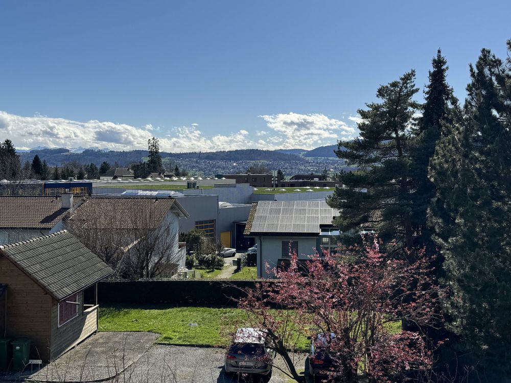 Freistehendes 5.5 Zi. EFH mit Weit- + etwas Seesicht, im Steuerparadies Meisterschwanden -  Bild 6