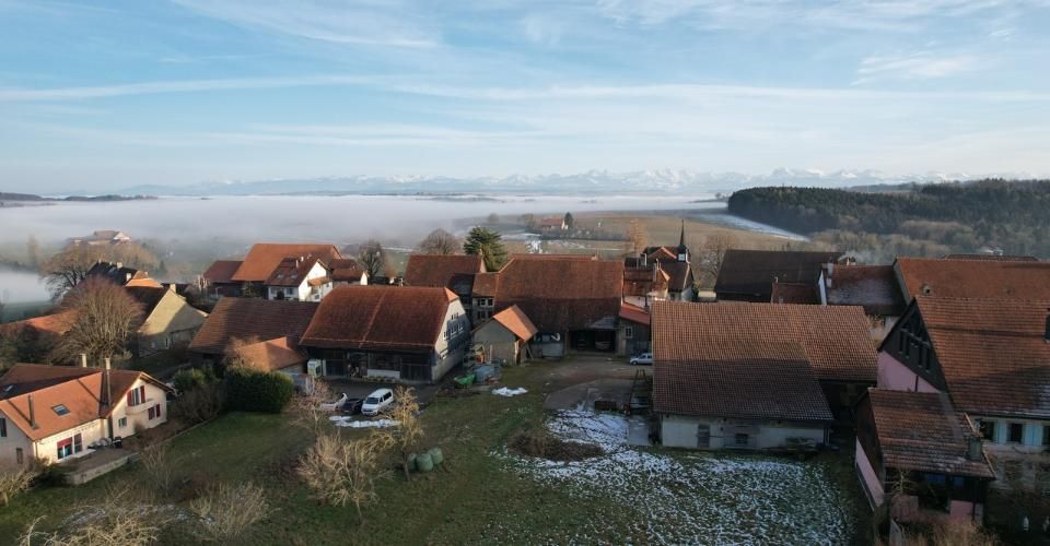 Ferme rénovée de 3 appartements - Immeuble résidentiel - image - 4