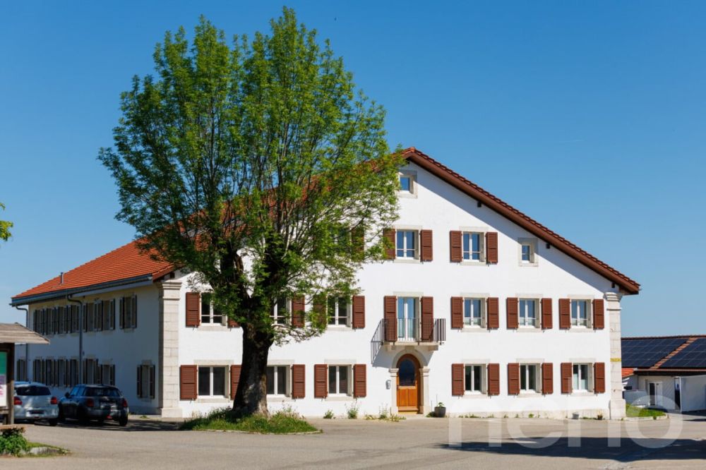 Splendide 5.5p sous les combles orienté sud dans bâtiment historique! -  Bild 12