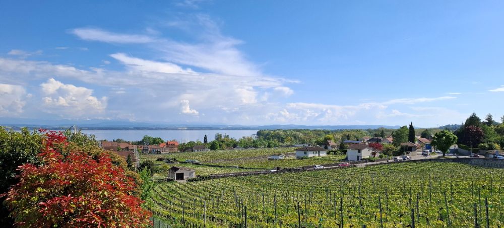 Résidence AZUR - Charme intemporel entre lac et vignes. - Bild 2