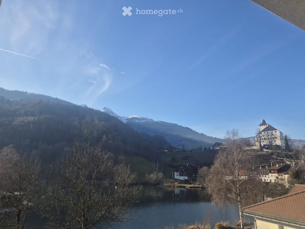 Traumhafte 2.5 Zimmer, 55 m2, EG mit Umschwung - Bild 3