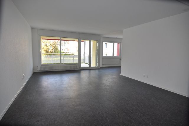 sanierte 4.5 Zimmerwohnung - Grosser Wohnbereich