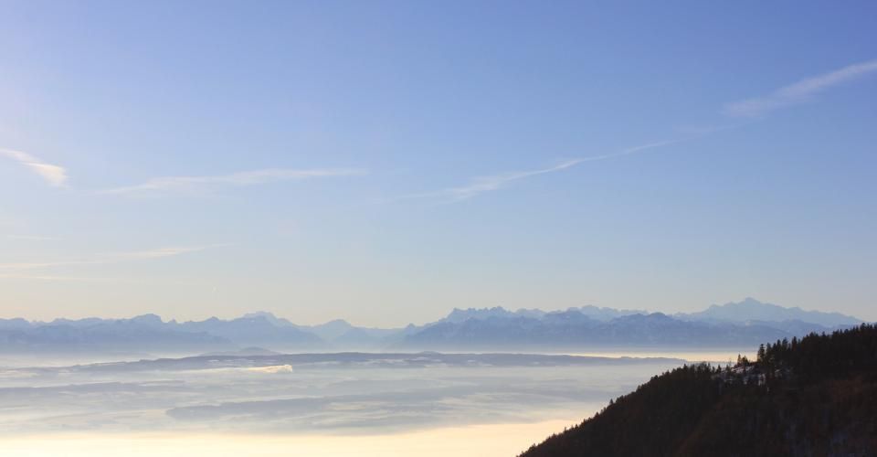 Appt PPE neuf de 3.5 pièces Vivre au soleil, au-dessus du brouillard - Appartement 3.5 pièces - image - 8