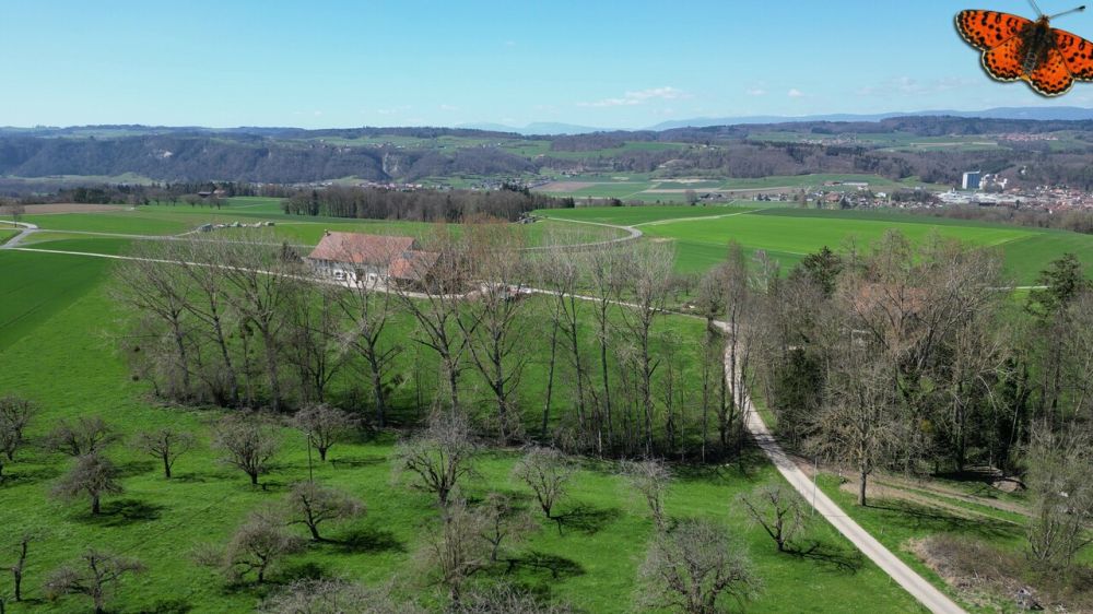 Dernière maison en vente au calme totalisant 212 m² avec jardin ! - Vue sur la campagne environnante