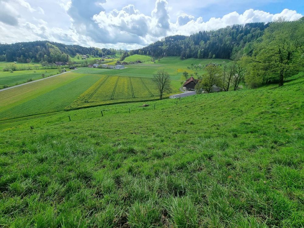 Traumhafte Wohnlage mit Einliegerwohnung | Baubewilligung vorhanden - Bild 2