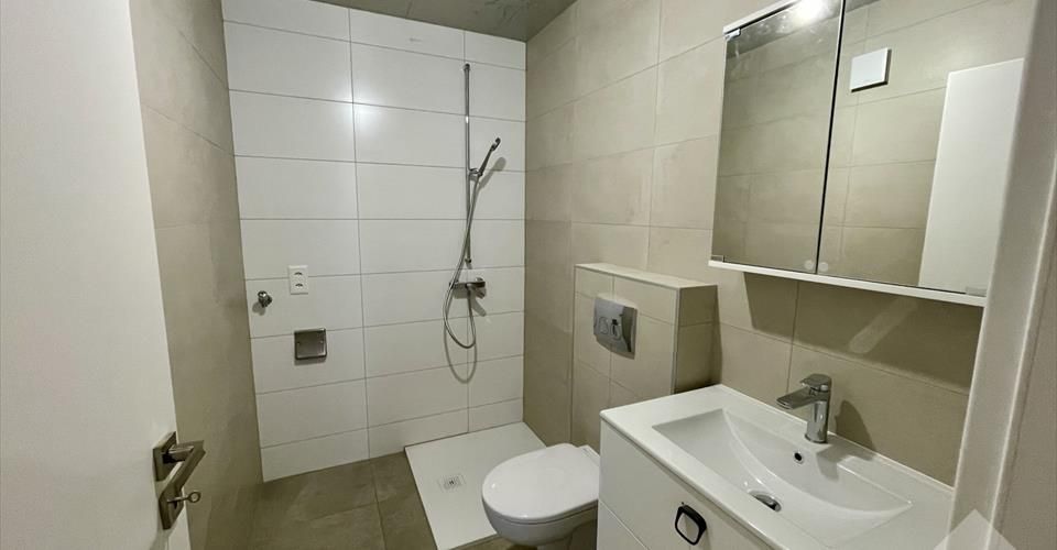 Appartement duplex 2.5 pces dans maison de village totalement rénovée - Appartement 2.5 pièces - image - 6