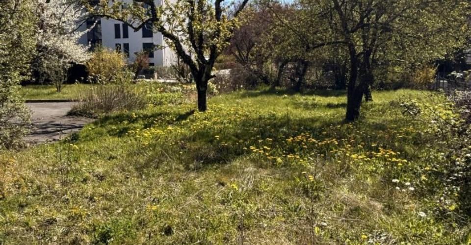 Tous les avantages de la maison sans les inconvénients - Maison 6.5 pièces - image - 1