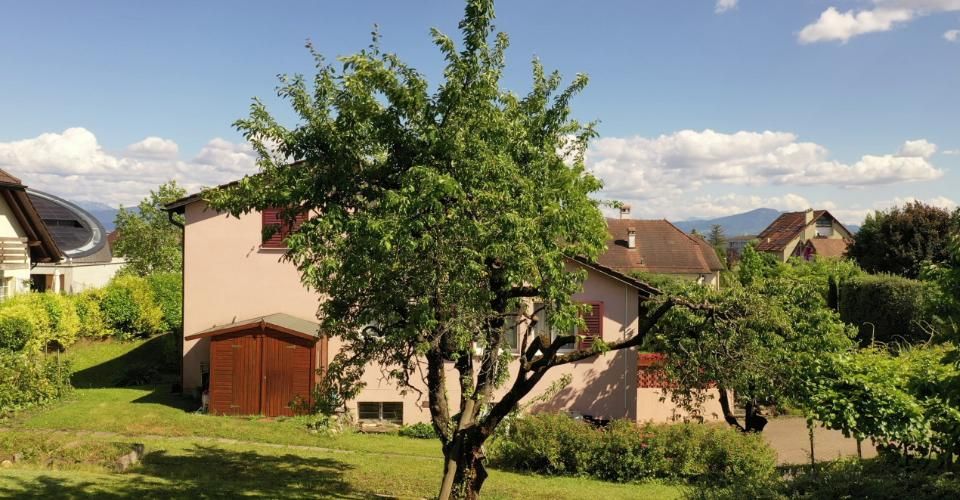 Vivre au vert, dans un quartier de charme, appartement 4.5 pièces ensoleillé - Appartement 4.5 pièces - image - 7