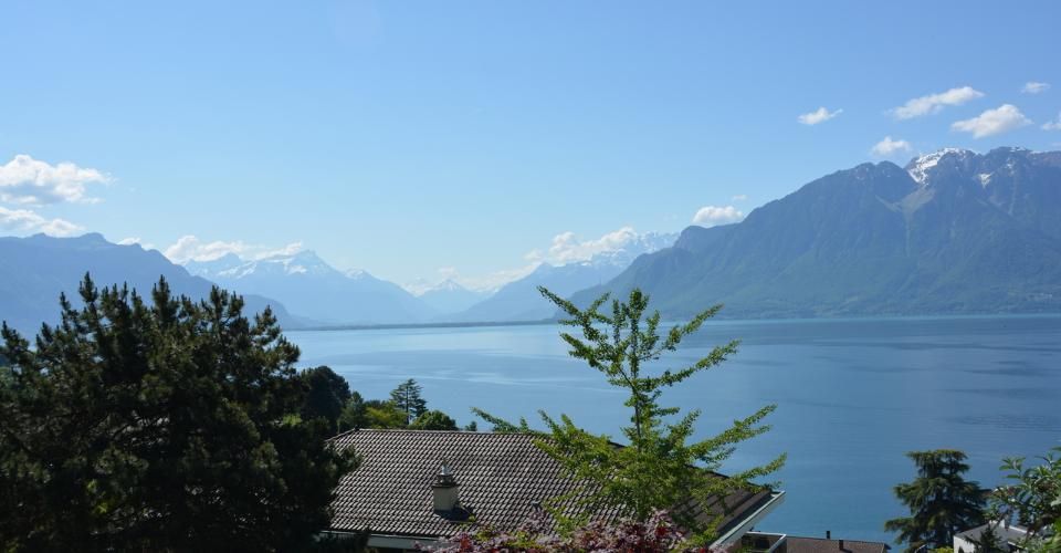 A quelques pas du lac Léman, villa neuf de standing avec vue panoramique - Villa 5.5 pièces - image - 3