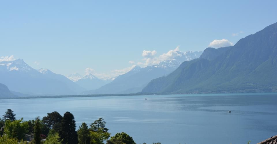 Proche Vevey, nouveau projet de 3 villas de 5.5 pces - vue panoramique - Maison contiguë 5.5 pièces - image - 1