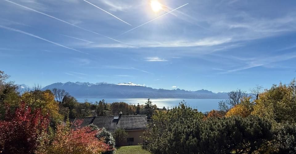 Les villas Althéa - Lot A - Maison contiguë 6.5 pièces - image - 4