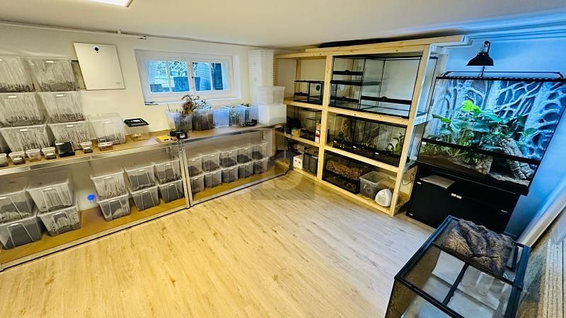 TRAUMLAGE MIT GESTALTUNGSSPIELRAUM - Maison 7 pièces - image - 2