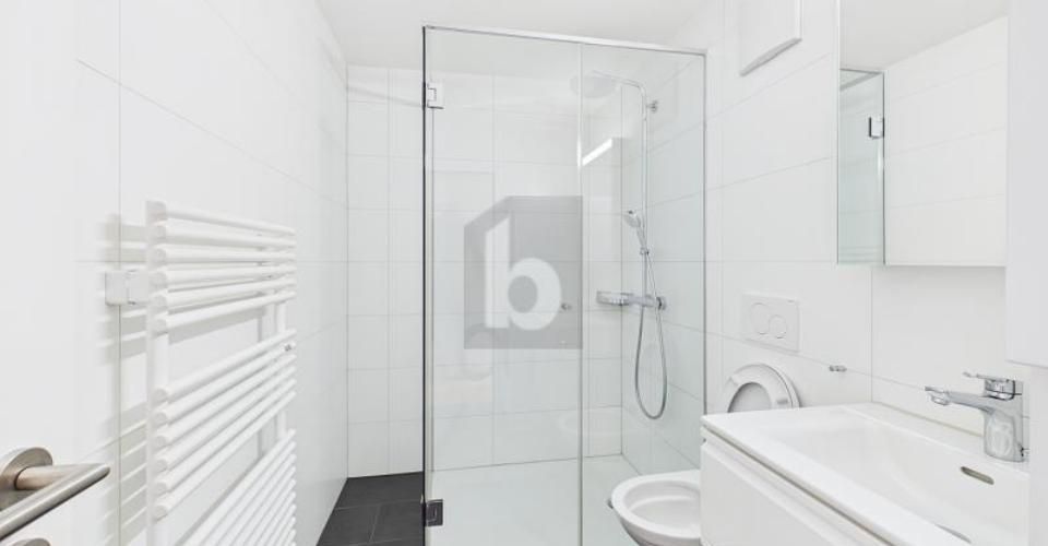 KERNSANIERT MIT SEEBLICK - Appartement 2.5 pièces - image - 5