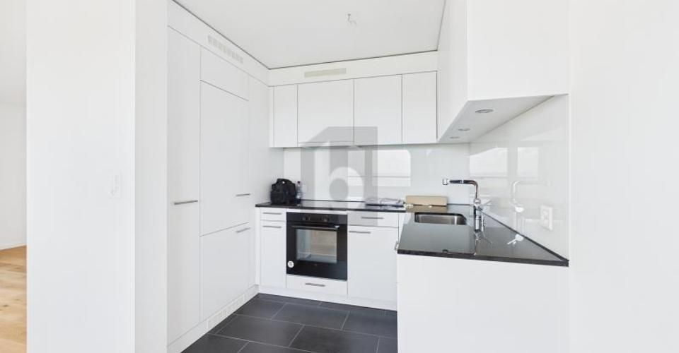 KERNSANIERT MIT SEEBLICK - Appartement 2.5 pièces - image - 3