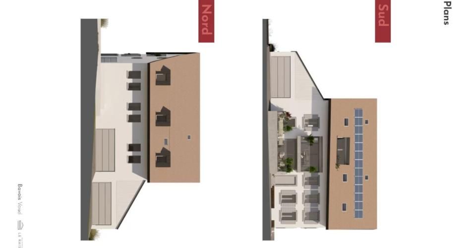 Chavornay - Appartement - image - 8