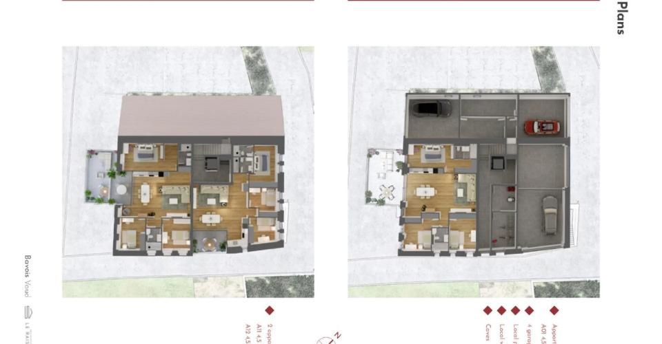 Chavornay - Appartement - image - 10