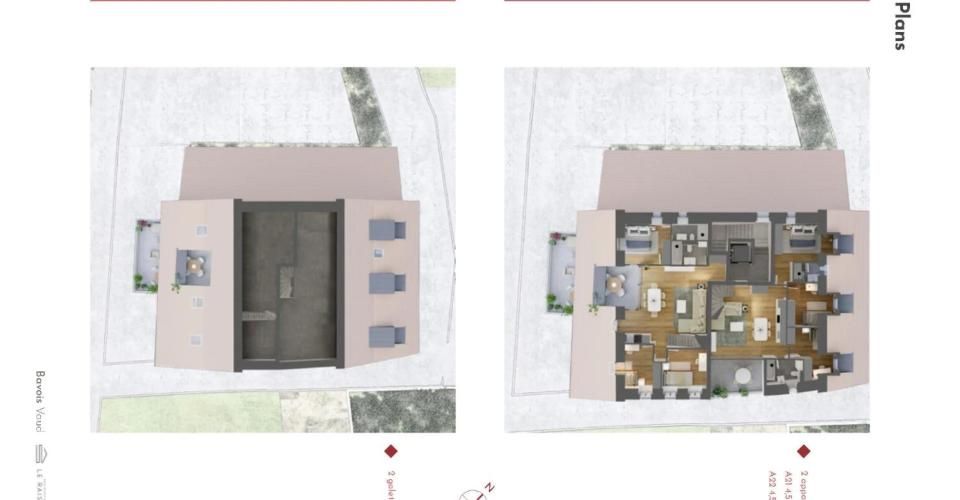 Chavornay - Appartement - image - 11