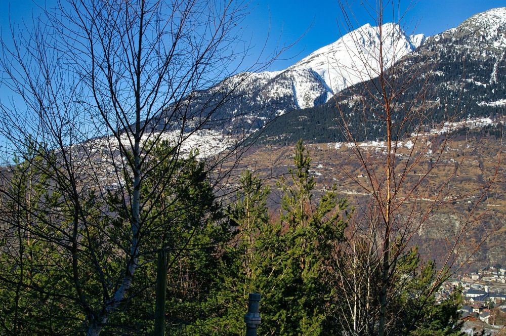 Fantastisches Bauland in ruhiger und unverbaubarer Lage -  Bild 3