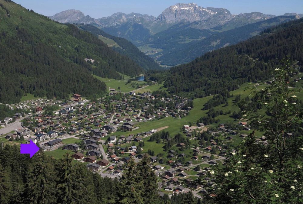 Prächtige Wohnung im Zentrum von Morgins! -  Bild 4