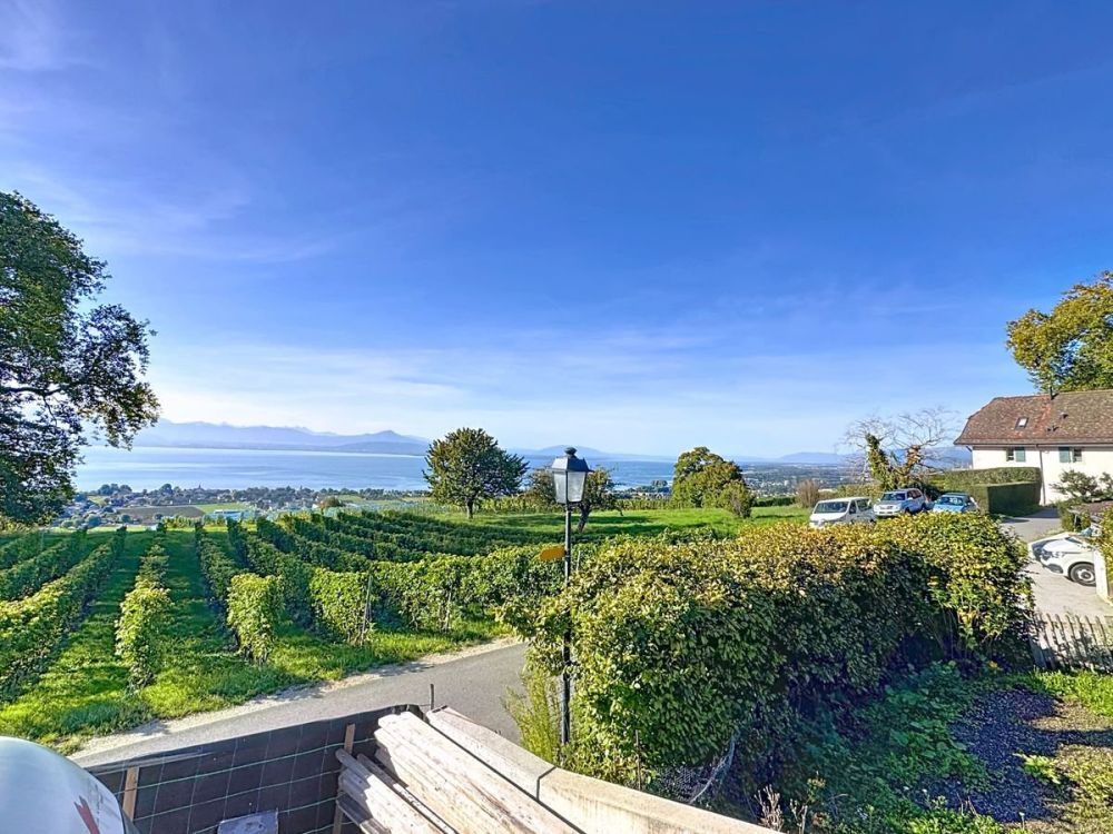 Villa neuve haut de gamme : 360 m² de lumière et de prestige face au lac et aux Alpes, à vous de choisir les finitions ... - Bild 8