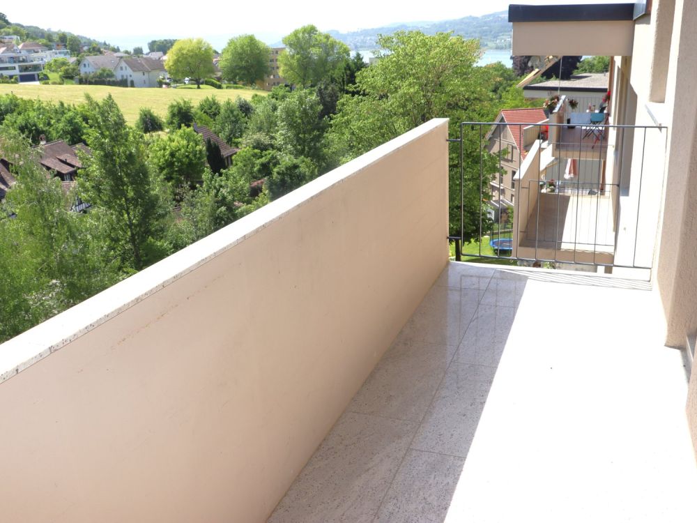 Erstvermietung nach Totalsanierung - grosszügige 3.5 Zi.-Wohnungen mit Balkon -  Bild 11
