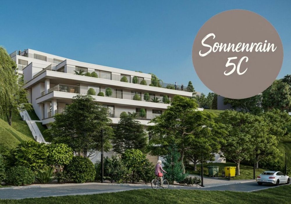 Neubau Terrassenwohnungen - Döttingen (5C) -  Bild 1