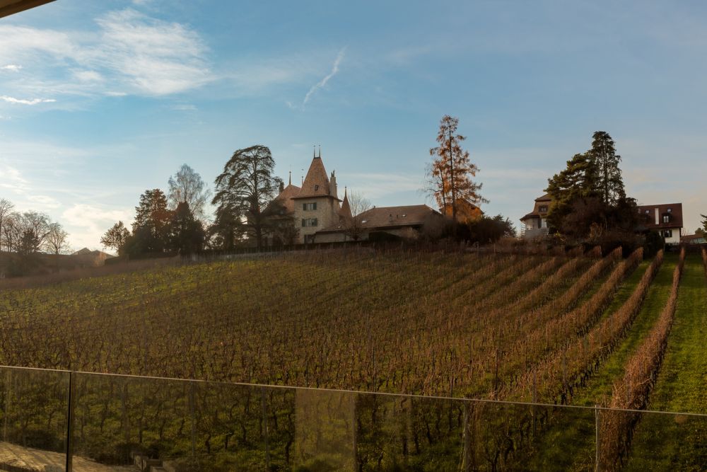 Magnifique 4.5 pièces neuf - Bild 1