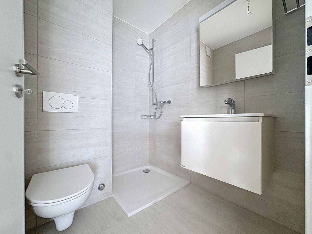 Luxuriöse 4.5-Zimmer-Wohnung mit Terrasse und privatem Aufzug -  Bild 7