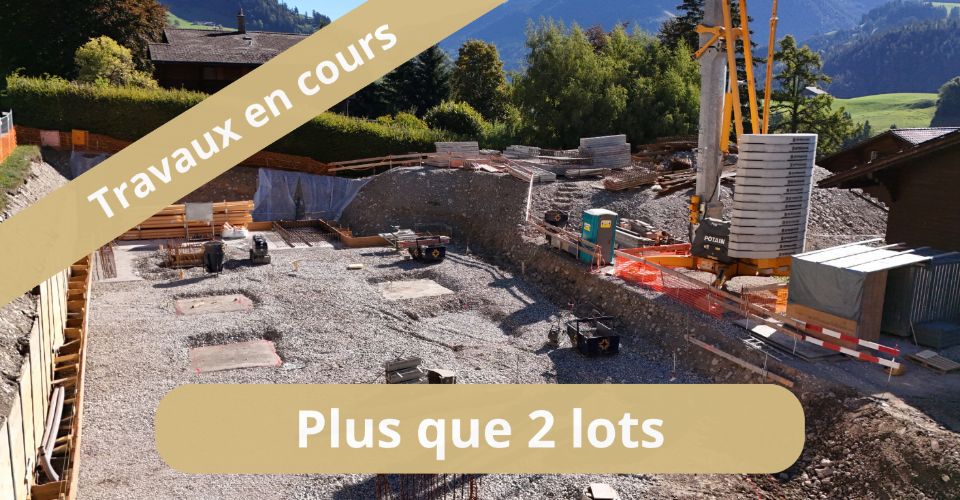 Duplex avec vue ! Travaux en cours ! - Attique 5.5 pièces - image - 2