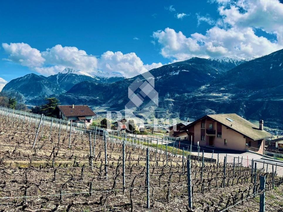 Maion en Boè à Flanthey - Bild 10