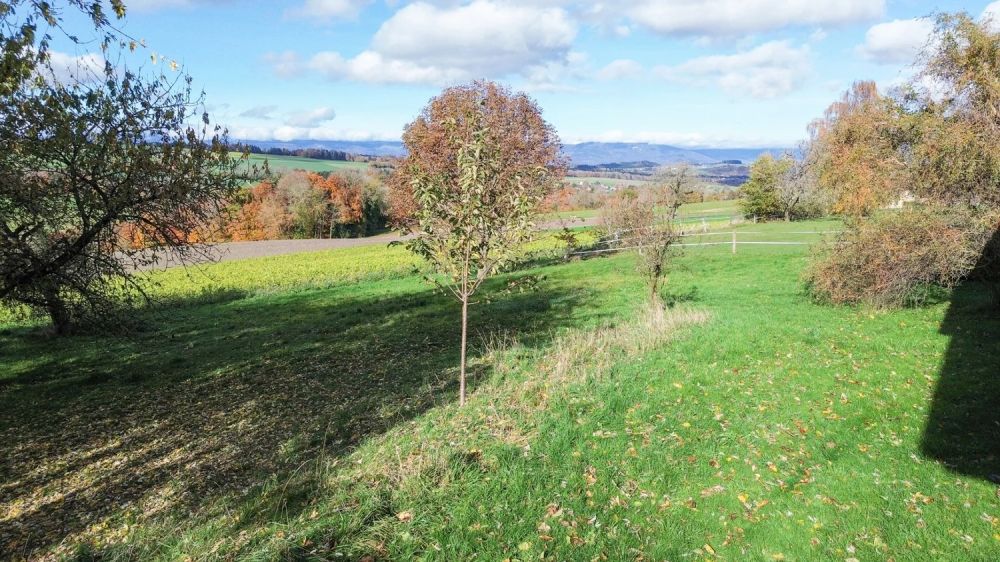 Vente sur plans à Rueyres : 2 villas 6,5 pcs de 150 m2 hab. avec jolie vue sur le vallon, à 1 km de la Gare du Leb de Bercher - Bild 4