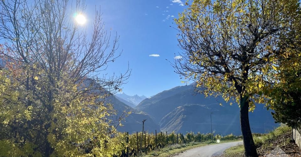 Promotion de 2 villas mitoyennes de 4.5 pces au calme, vue panoramique - Immeuble résidentiel 9 pièces - image - 7