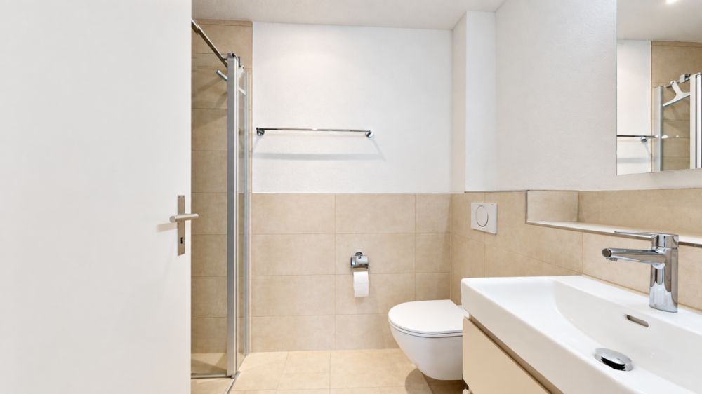 Grosszügige 4.5 Zimmer Neubauwohnung mit 56 m² Terrasse -  Bild 10