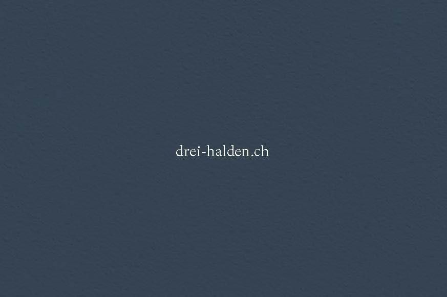 Neubauprojekt "Drei Halden" - 4.5-Zi. Etagenwohnung im EG - Website