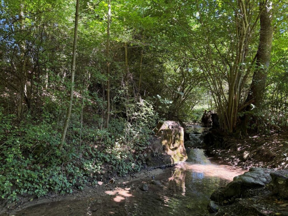 Naturnahes Wohnen mit hohem Wohnkomfort -  Bild 9