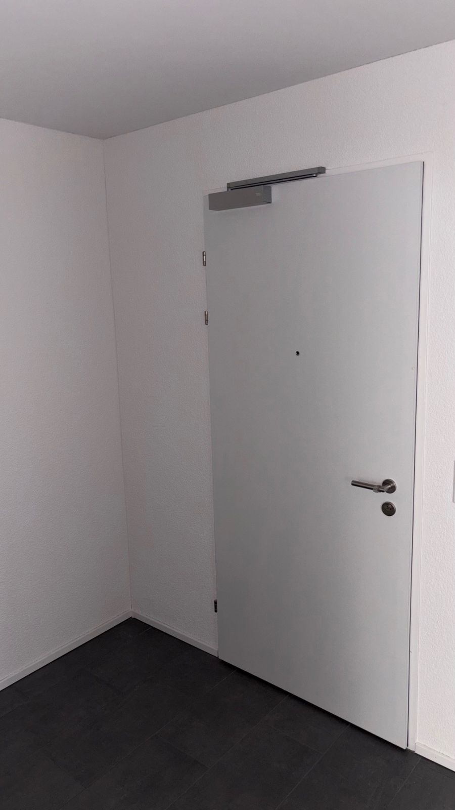 Moderne 4.5-Zimmer-Dachwohnung mit Waldblick in Langnau am Albis -  Bild 3