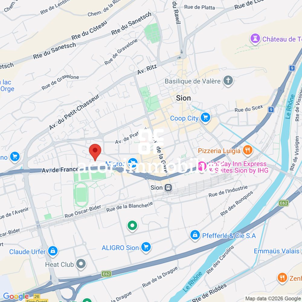 SION CENTRE - 4,5 PIÈCES DE 201 M² - JARDIN DE 106 M²- TERRASSES - SUD -  Bild 6
