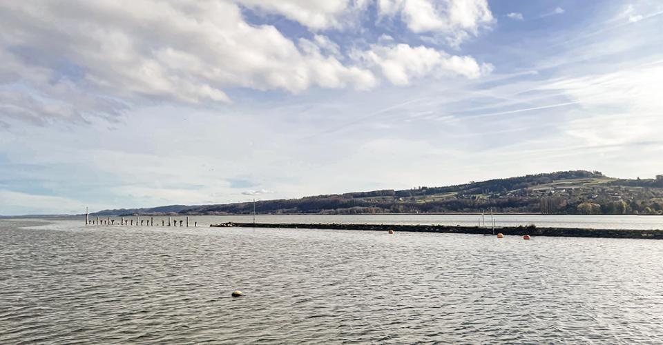 SE RÉVEILLER À QUELQUES MÈTRES DE L"EAU - OUVRIR LA BAIE VITRÉE ET SENTIR L"AIR DU LAC - Appartement 3.5 pièces - image - 1