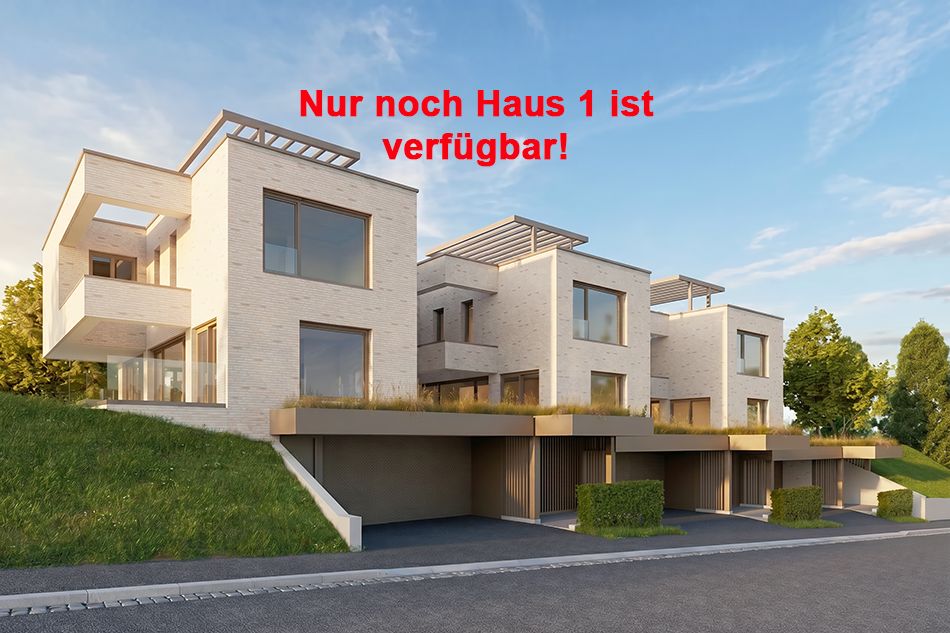 Exklusives Atrium-Einfamilienhaus an ruhiger Lage in Binningen - H1 -  Bild 1