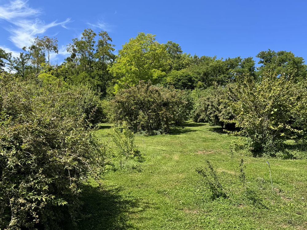 NOUVELLE PROMOTION - Appartements neufs avec terrasses et vue panoramique sur le lac -  Bild 2