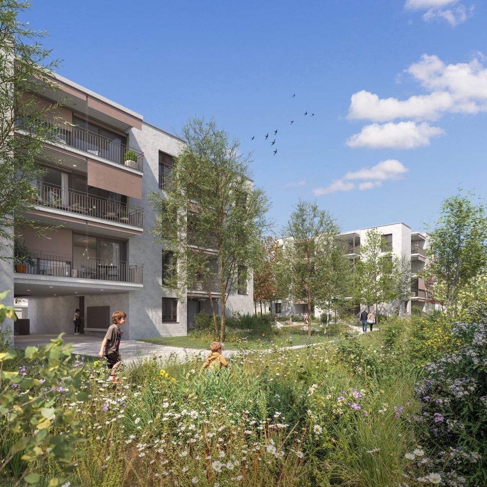 Moderne 3.5-Zimmer-Neubauwohnung in Rüfenacht BE – Erstbezug März 2027 -  Bild 1