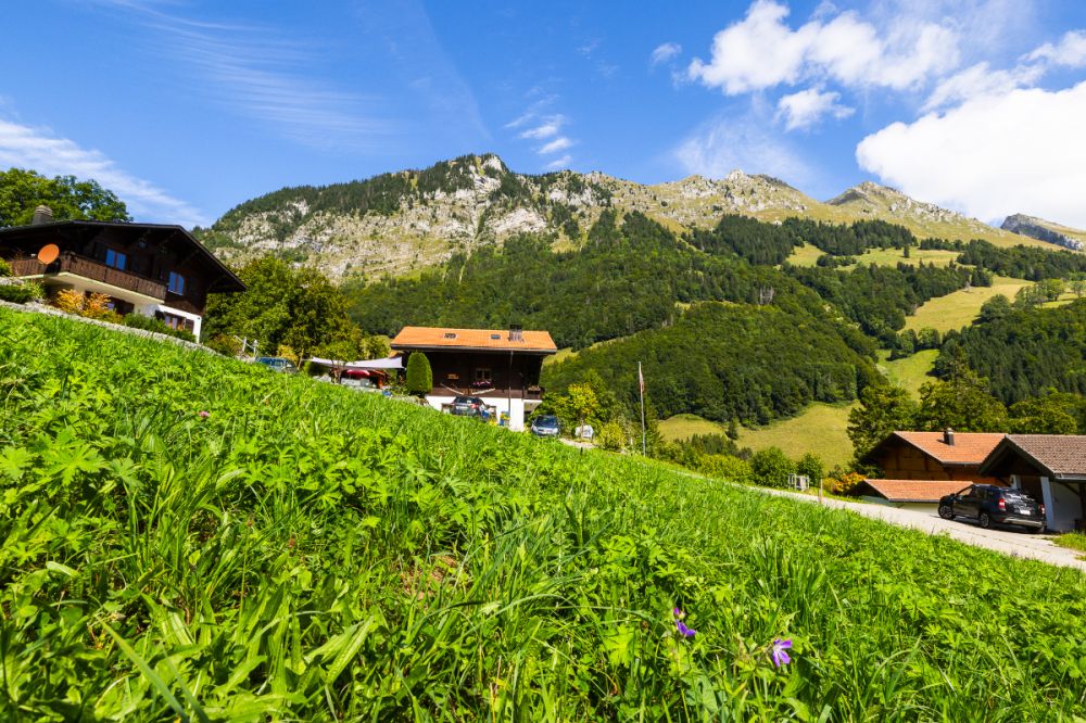 Neues Projekt: AlpenSchönheit im Alltag erleben -  Bild 5